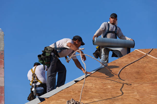Best Roof Waterproofing Services  in Nanticoke, PA