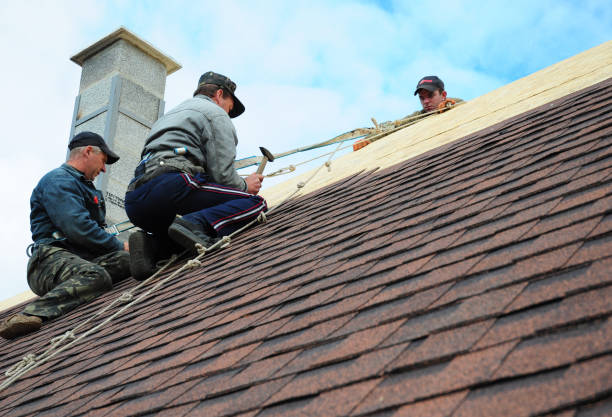 Best Storm Damage Roof Repair  in Nanticoke, PA