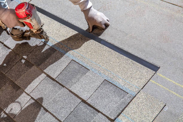 Best Storm Damage Roof Repair  in Nanticoke, PA